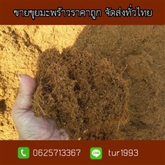 ขายขุยมะพร้าวราคาถูกจัดส่งทั่วไทย