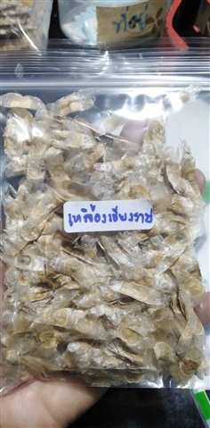 ขายเมล็ดพันธุ์เหลืองเชียงราย