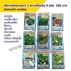 เมล็ดพันธ์แบบจัดเซ็ท 100 บาท