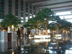 ต้นไม้เทียมตกแต่งสนามบิน