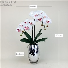 แจกันกล้วยไม้ฟาแลน FVD-65-9-S FL1