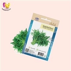 เมล็ดผักบุ้งจีนใบใหญ่ Chinese convolvulus ซอง 20 กรัม 18 บาท