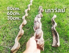 บันไดลิง? เถาวัลย์? ตกแต่งสวน? กรงสัตว์