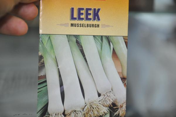 กระเทียมต้น LEEK Seed,Leek seed กระเทียมต้น,เมล็ดพันธุ์ผัก
