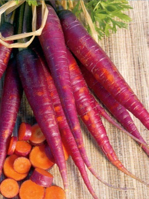 แครอทสีม่วง - Cosmic Purple Carrot