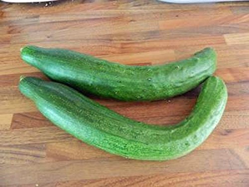 แตงกวาอิมพรูฟผลยาว - Improved Long Green Cucumber