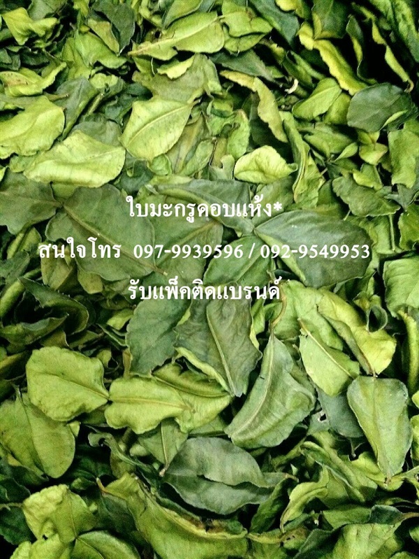 ใบมะกรูดแห้ง  Kaffir lime leaves