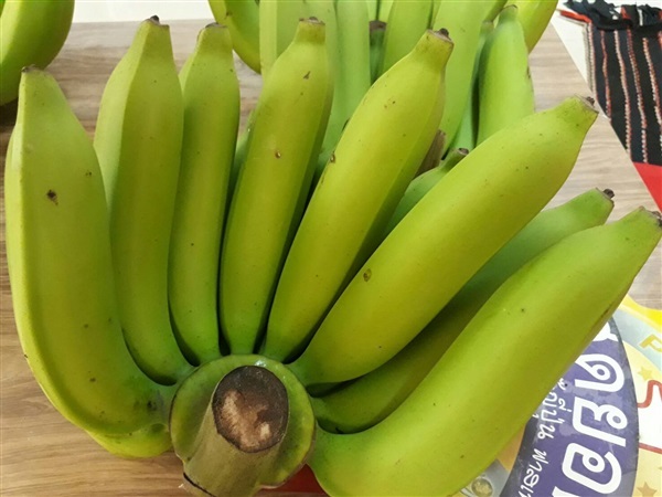 ขาย กล้วยหอมทอง organic จำนวนมาก
