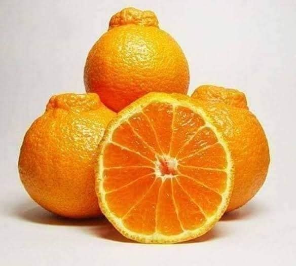 #ส้มเดโกปอง 