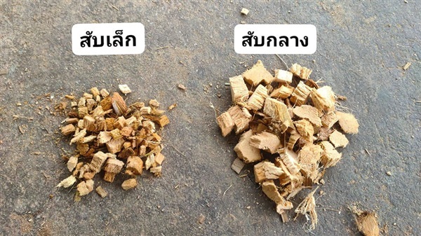 ขายกาบมะพร้าวสับ ขายเปลือกมะพร้าวสับ ราคาถูกจัดส่งทั่วไทย