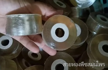 การใช้เทปพันกิ่งในการติดตา ต่อกิ่ง และตอนกิ่ง