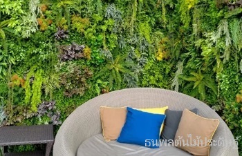 สวนแนวตั้งมีกี่แบบ