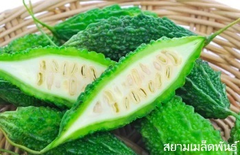 ลักษณะพฤกษศาสตร์ของต้นมะระขี้นก