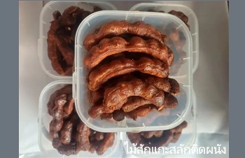 ลักษณะพฤกษศาสตร์ของต้นมะขามหวาน