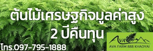 เอวาฟาร์ม 888