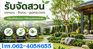 รับจัดสวน เลือกต้นไม้ตามต้องการ