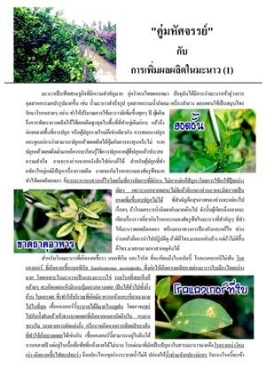 การผลิตมะนาวปลอดสารพิษ..ด้วยคู่มหัศจรรย์ ตอนที่ 1 โรคในมะนาว