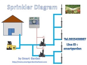 ผังการต่อระบบรดน้ำสปริงเกอร์ขนาดเล็ก