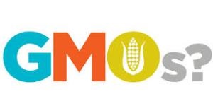 พืช GMO คืออะไร ?