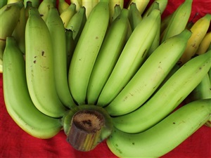 จำหน่าย หน่อกล้วยหอมทอง กล้วยน้ำว้าและรับซื้อผลผลิตคืน 100%
