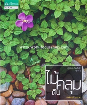 ขายหนังสือเรื่อง &quot;ไม้คลุมดิน&quot; คู่มือคนรักต้นไม้ ชุดที่ 6 โดย ธิวลักษณ์ บุนนาค พิมพ์ครั้งที่ 1 จากสำนักพิมพ์บ้านและสวน