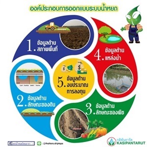 องค์ประกอบการออกแบบระบบน้ำหยด