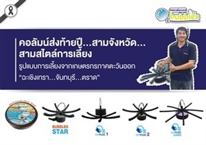 สามจังหวัด สามสไตล์การเลี้ยงกุ้ง