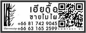 ซื้อ - ขายไม้ไผ่ ไม้ราวยาง ไม้ตากยาง ไม้ปักหอยแมลงภู่  ไม้ไผ่เลี้ยงหอย ไม้ไผ่ชลอคลื่น ไม้ไผ่ป้องกันตลิ่ง ไม้ไผ่ตกแต่ง ไม้ไผ่รวก 