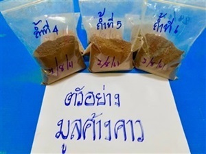 คุณภาพมูลค้างคาว