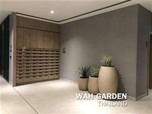 กระถางปูนซิเมนต์โมเดิร์น | Modern Cement Planters