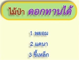 ไม้ป่าดอกทานได้ 