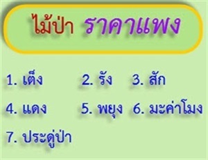 ไม้ป่าราคาแพง 