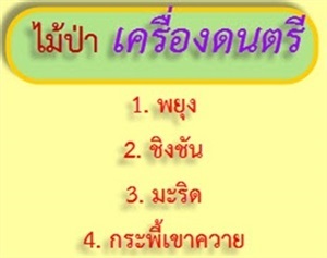 ไม้ป่าสำหรับทำเครื่องดนตรี 