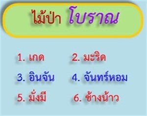 ไม้ป่าโบราณ