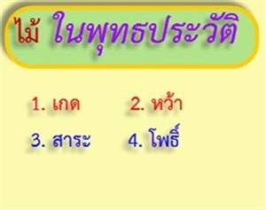 ไม้ป่าในพุทธประวัติ 