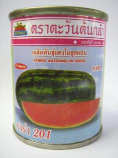 เมล็ดพันธุ์แตงโม (Watermelon "SARA 201" ) | บริษัท  แกรนด์บิซ จำกัด - วัฒนา กรุงเทพมหานคร