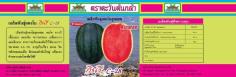 เมล็ดพันธุ์แตงโม (Watermelon "Kinaree C28" )