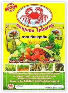 ขายเมล็ดพันธุ์ผักเกรด A และปูแดง ไคโตซาน  | Pajin - เมืองนนทบุรี นนทบุรี