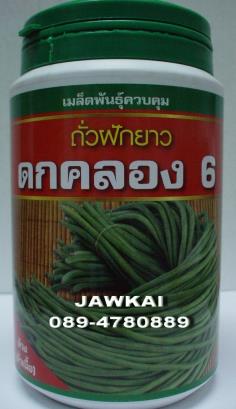 เมล็ดพันธุ์ถั่วฝักยาวด้วง ดกคลอง6