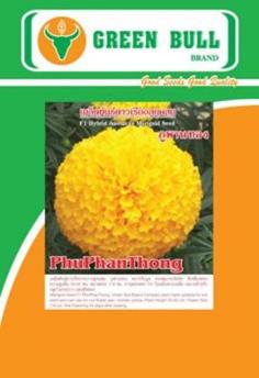 เมล็ดพันธุ์ดาวเรืองกระถางภูพานทอง marigold seed PhuPhanThong