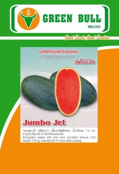 เมล็ดพันธุ์แตงโม Jumbo Jet  hat giong dua hau