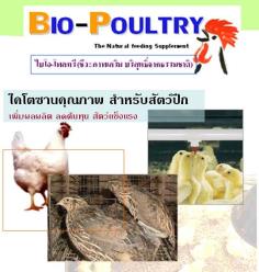 BIO-POULTRY (ไบโอพี)