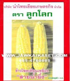 เมล็ดพันธุ์ข้าวโพดเทียนเหลือง สายน้ำผึ้ง ตราลูกโลก | จ้าวไก่เกษตร - ไทรน้อย นนทบุรี