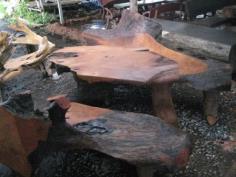 โต๊ะชุดรากไม้มะค่า