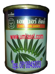 กระเจี้ยบ-เอฟเวอร์ลัคกี้ 1292