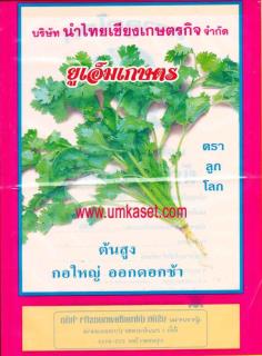 ผักชี-ตราลูกโลก | umkaset - เมืองลำพูน ลำพูน