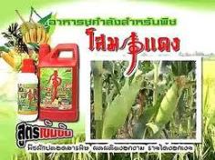 อาหารชูกำลังสำหรับพืช โสมแดง (ps703)