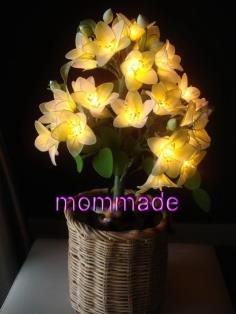 ดอกแก้วเจ้าจอม (ขนาดกลาง) | ร้านไฟดอกไม้ mommade  -  กรุงเทพมหานคร