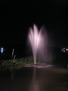 น้ำพุดอกสเปรย์ | ร้าน น้ำพุ (ตลาดสมบัติบุรีย์) -  นนทบุรี