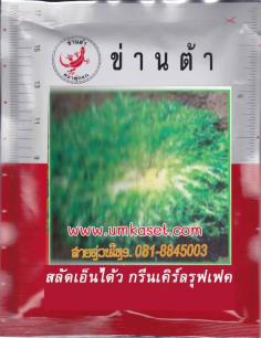 สลัดเอ็นได้ว-กรีนเคิร์ลรุฟเฟท